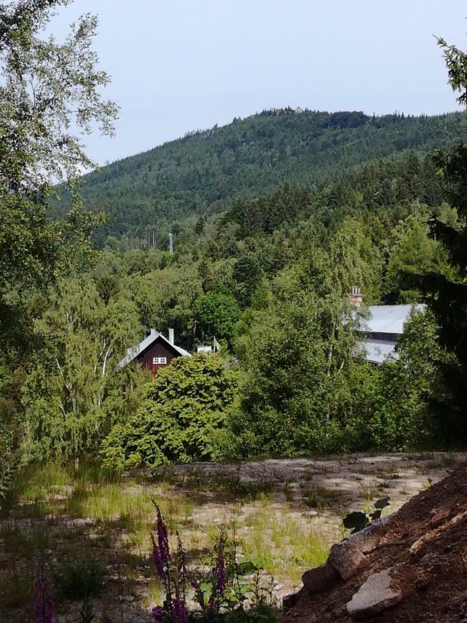 Apartament Podgorze 21 Leilighet Szklarska Poręba Eksteriør bilde